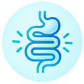 Supports Digestion